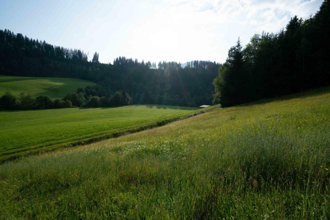 Getznerhof Villa Westendorf Kültér fotó